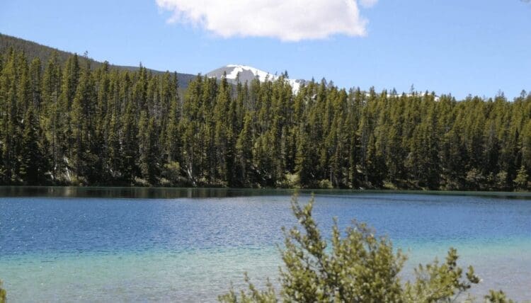 A scenic view of Heart Lake in the Scapegoat Wilderness. The United States congress designated the Scapegoat Wilderness in 1972 with a total of 239,936 acres. The long northwest border of the Scapegoat Wilderness is shared with the Bob Marshall Wilderness and the massive limestone cliffs that dominate 9,204 ft Scapegoat Mountain are an extension of the “Bob’s” Chinese Wall. Elevations range from 5,000 feet on the North Fork Blackfoot River to 9,400 feet on Red Mountain; the highest peak in the Wilderness Complex.