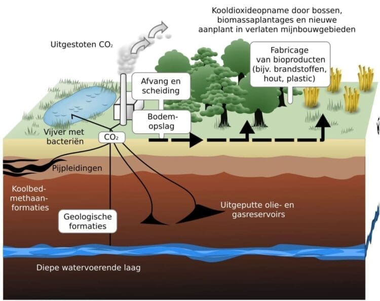 Diagram showing how underground carbon capture works