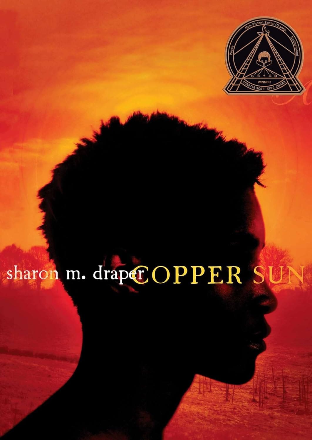 Anti-racist books Book cover of Copper Sun