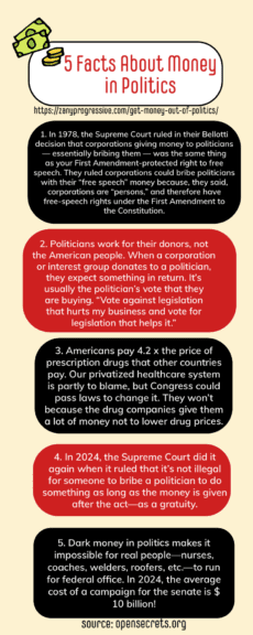 Money in politics infographic