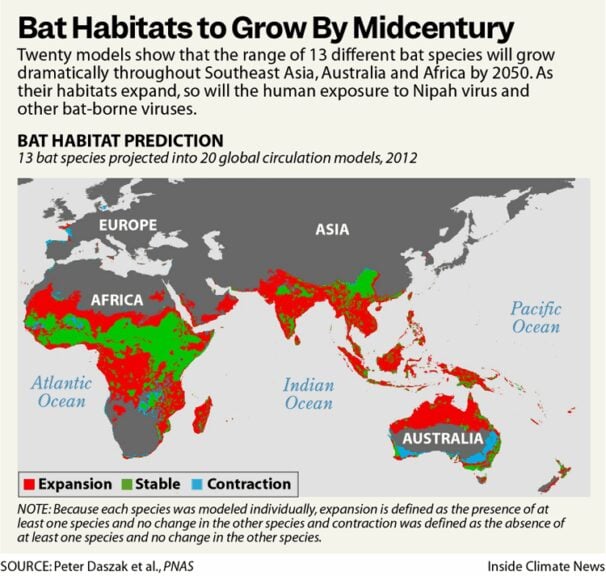 Climate Change Spreading Deadly Disease Carried By Bats—The Nipah Virus—75% Of People Infected Won’t Survive Infographic world map of locations of bat habitats carrying nipah virus