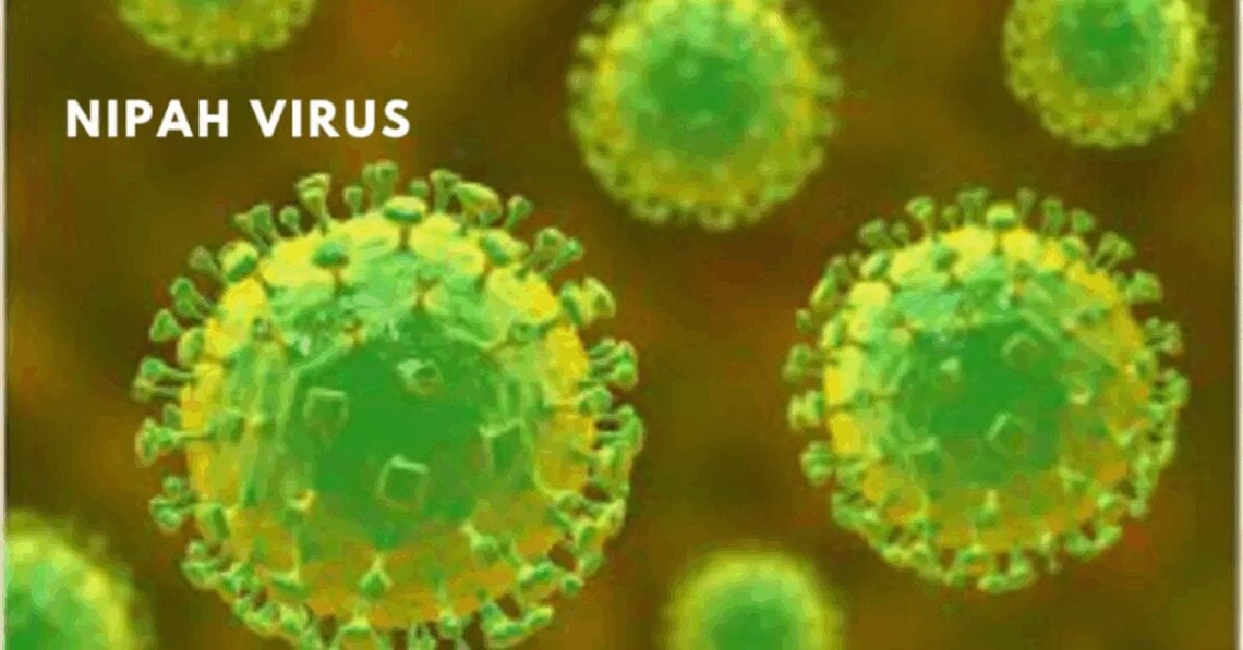Climate Change Spreading Deadly Disease Carried By Bats—The Nipah Virus—75% Of People Infected Won’t Survive Nipah virus